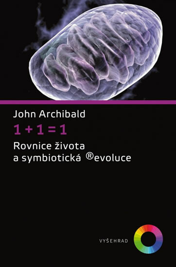 1+1=1 - John Archibald