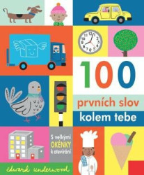 100 prvních slov kolem tebe (s velkými okénky k otevíraní) - kniha z kategorie Naučné knihy
