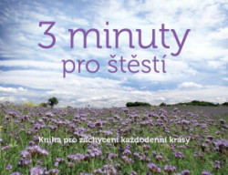 3 minuty pro štěstí (Kniha pro zachycení každodenní krásy) - kniha z kategorie Pozitivní myšlení