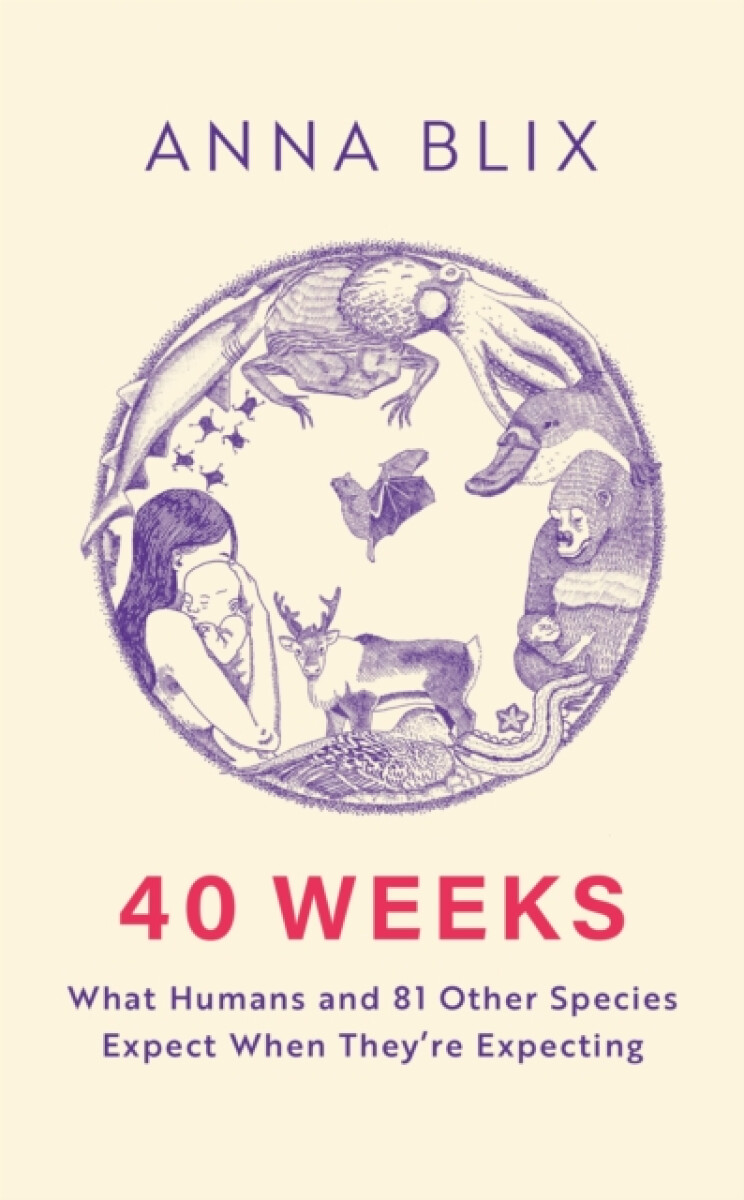 40 Weeks
