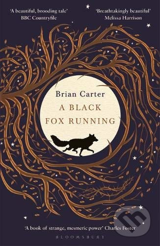 A Black Fox Running