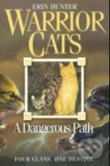 A Dangerous Path