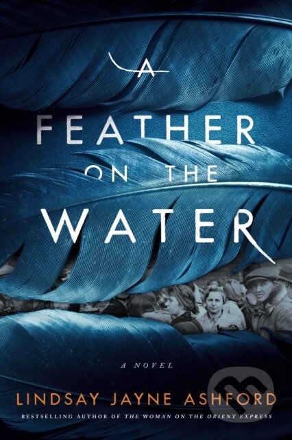 A Feather on the Water (A Novel)