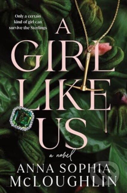 A Girl Like Us (A Novel)