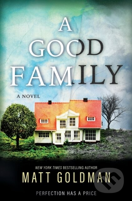 A Good Family (A Novel)