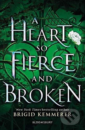 A Heart So Fierce and Broken