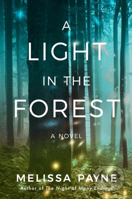A Light in the Forest (A Novel)