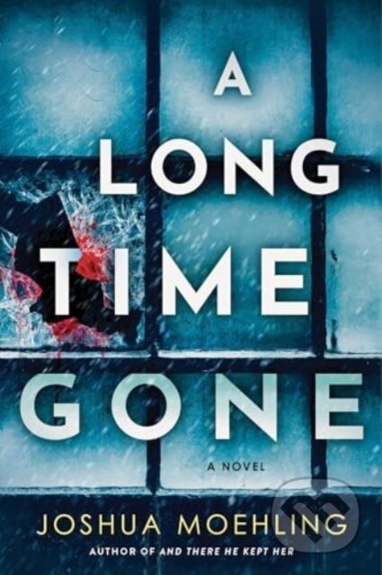 A Long Time Gone (A Novel)