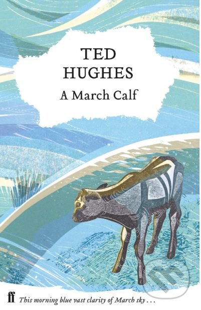 A March Calf