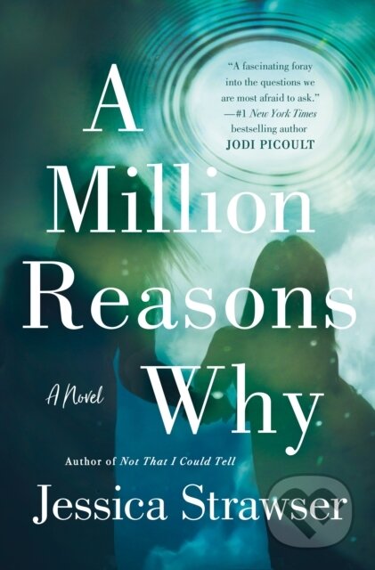 A Million Reasons Why (A Novel)