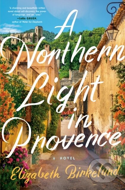 A Northern Light in Provence (A Novel)