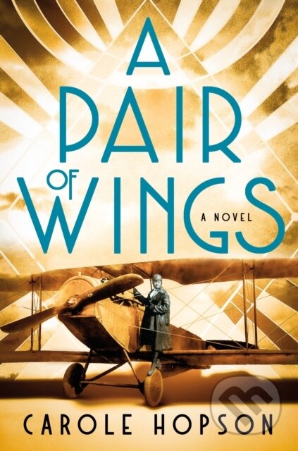 A Pair of Wings (A Novel)