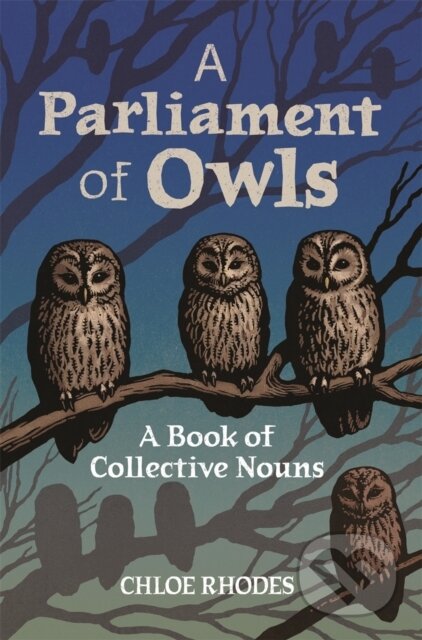 A Parliament of Owls (A Book of Collective Nouns)