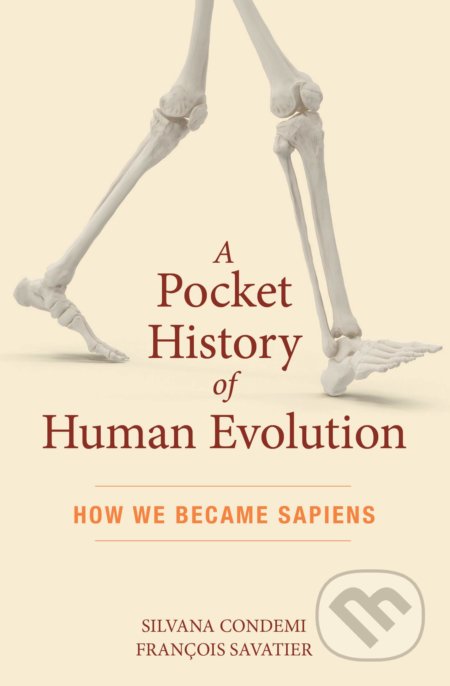 A Pocket History of Human Evolution
