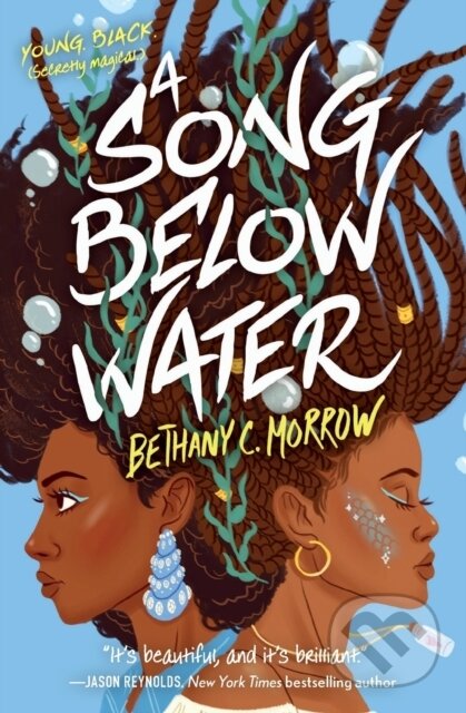 A Song Below Water (A Novel)