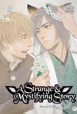 A Strange and Mystifying Story 5
