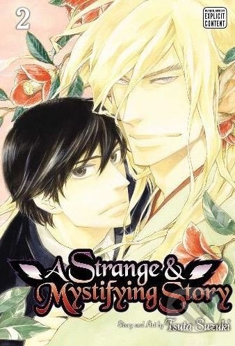 A Strange and Mystifying Story (Volume 2)