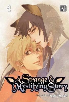 A Strange and Mystifying Story (Volume 4)