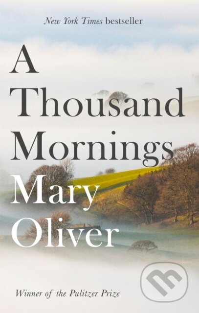 A Thousand Mornings