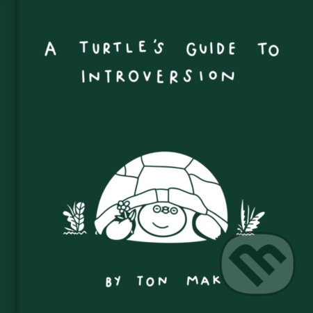 A Turtle's Guide to Introversion