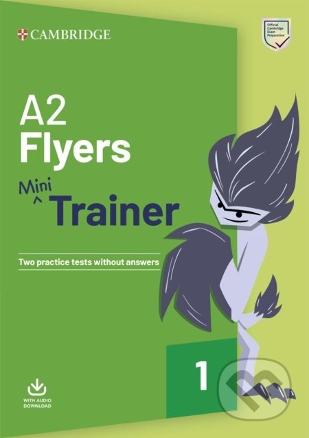 A2 Flyers Mini