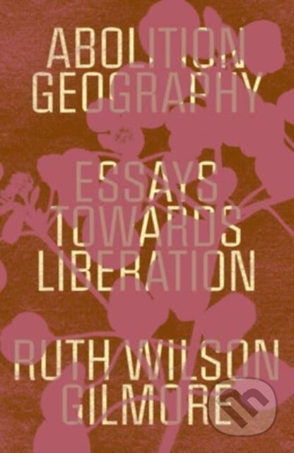 Abolition Geography (Essays Towards Liberation)