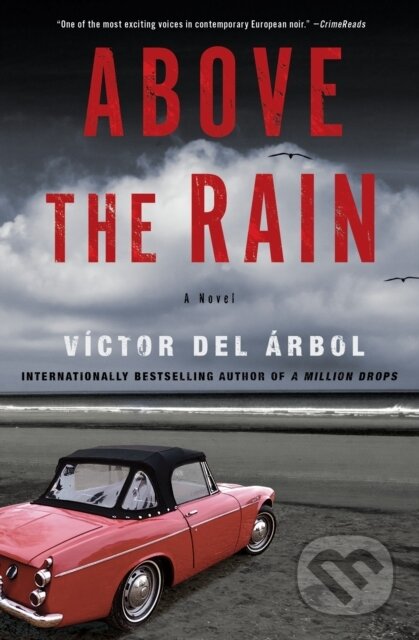 Above the Rain (A Novel)