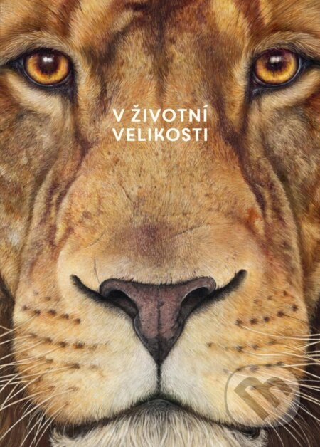 Africká zvířata (V životní velikosti)