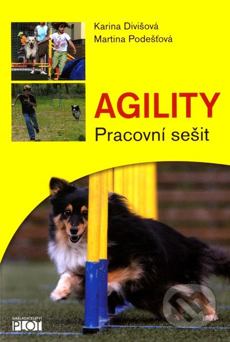 Agility (Pracovní sešit)