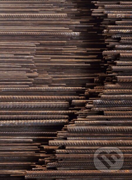 Ai Weiwei (Limited edition)