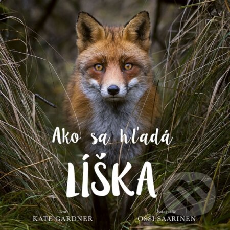 Ako sa hľadá líška