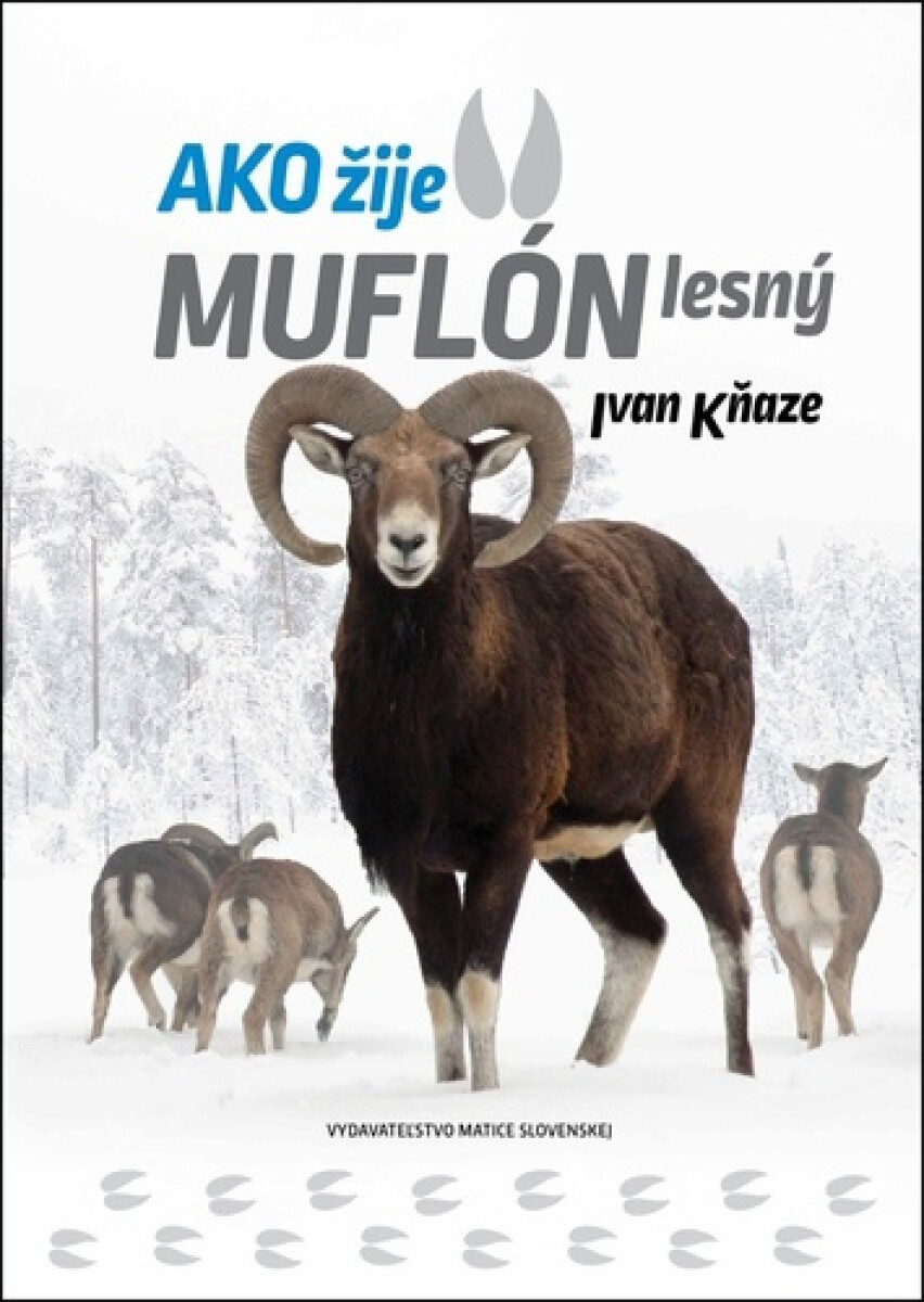 Ako žije muflón lesný - Ivan Kňaze