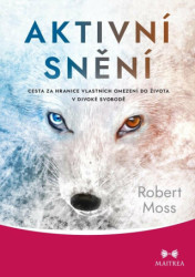 Aktivní snění (Cesta za hranice vlastních omezení do života v divoké svobodě) - kniha z kategorie Ezoterika