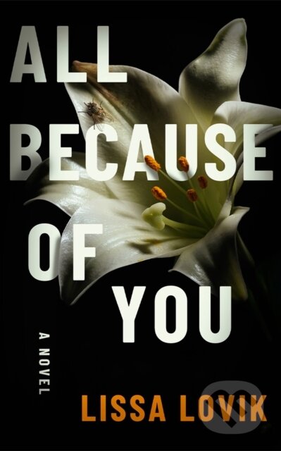 All Because of You (A Novel)