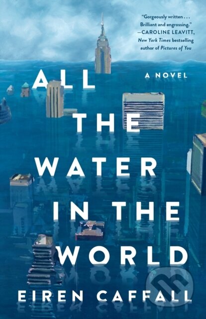 All the Water in the World (A Novel)
