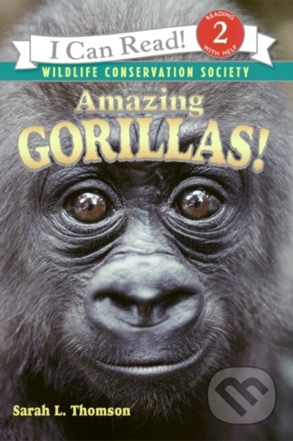 Amazing Gorillas
