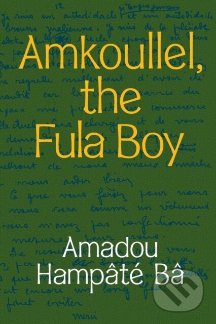 Amkoullel, the Fula Boy