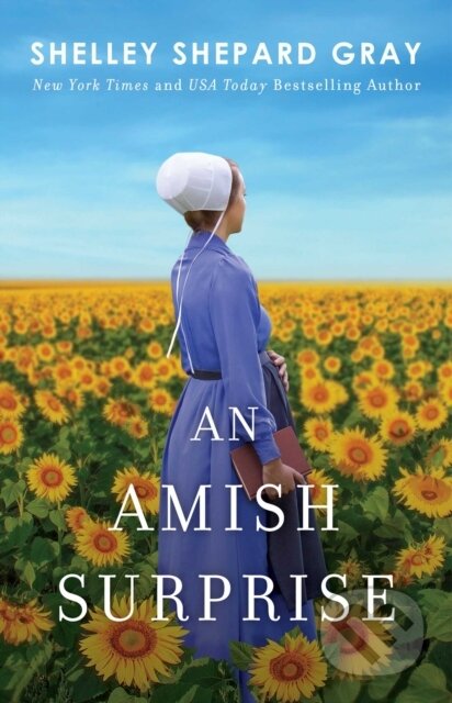 An Amish Surprise