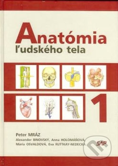 Anatómia ľudského tela 1