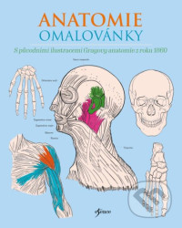 Anatomie omalovánky