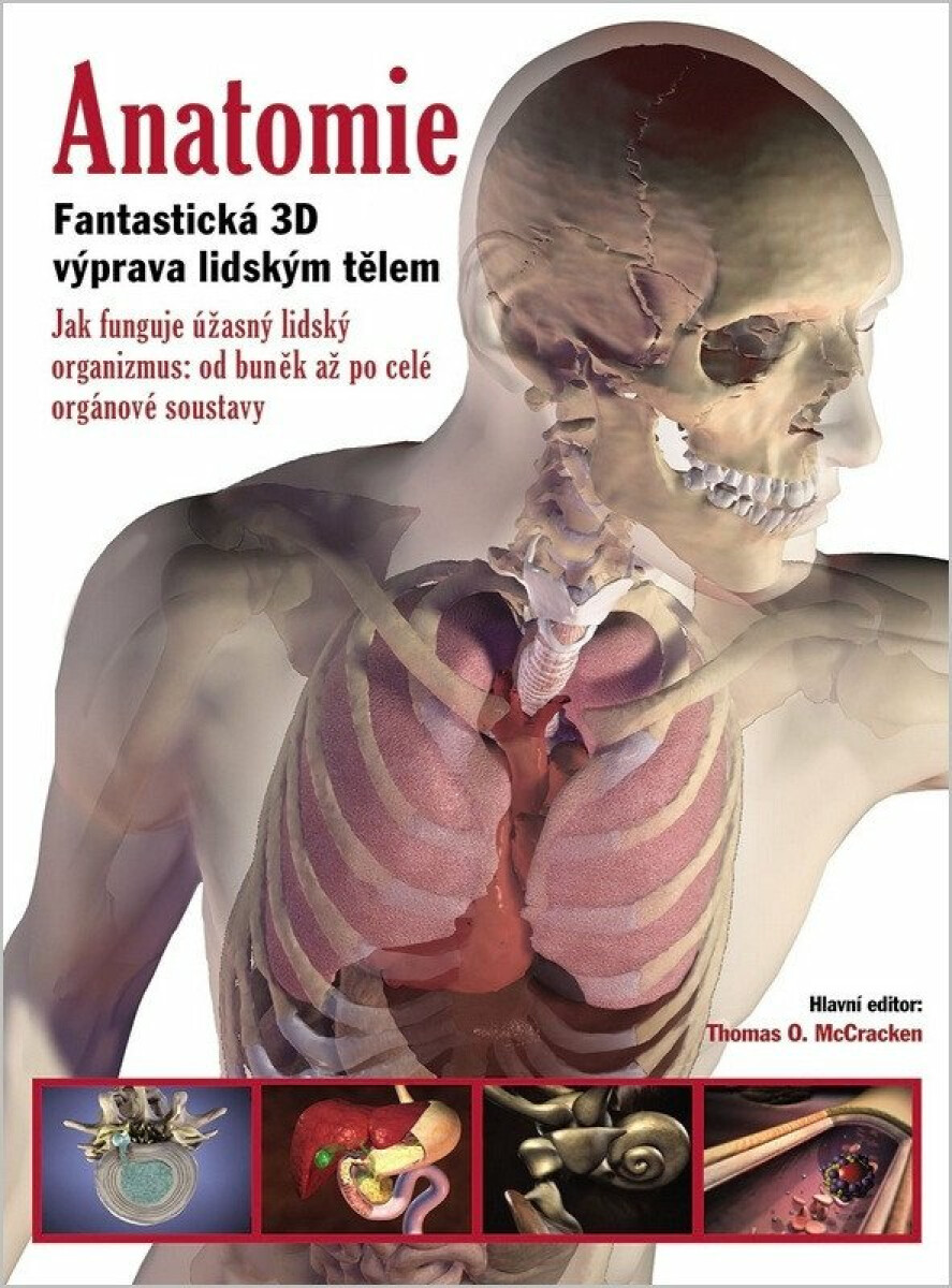 Anatomie - Thomas O. McCracken