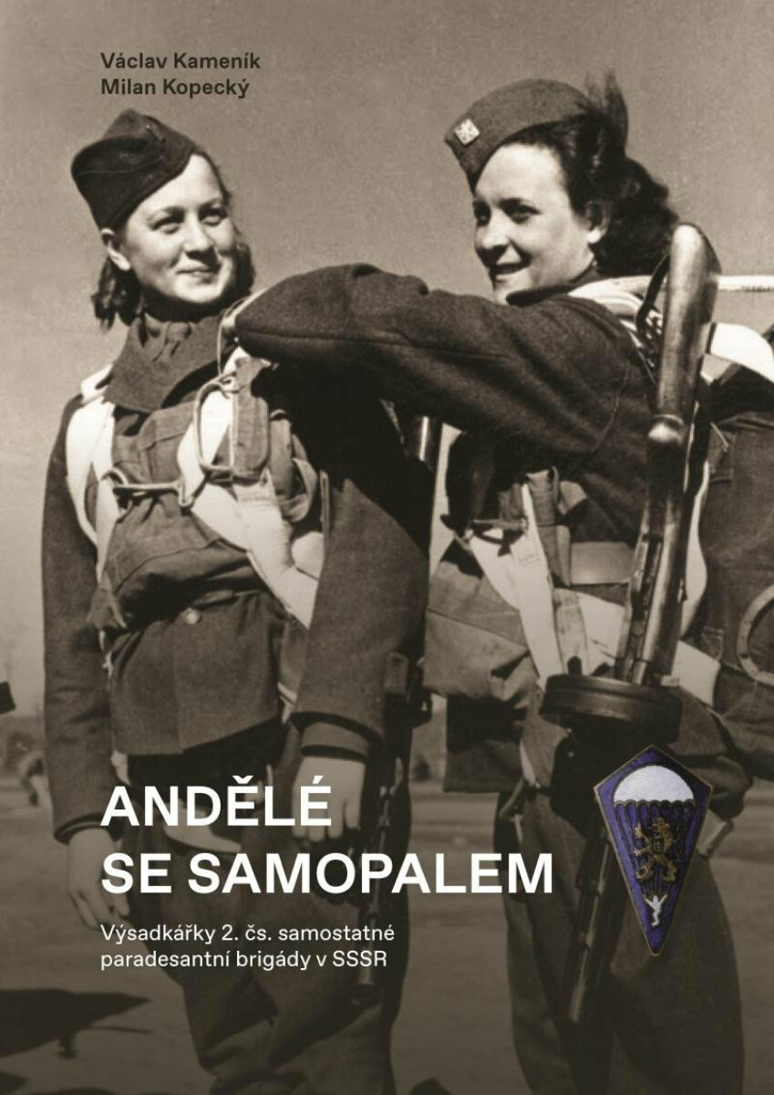 Andělé se samopalem - Milan Kopecký, Kameník Václav