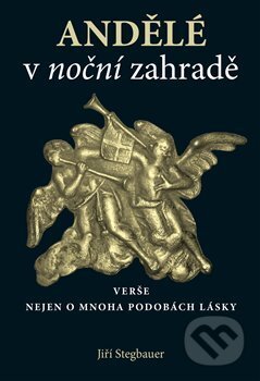 Andělé v noční zahradě