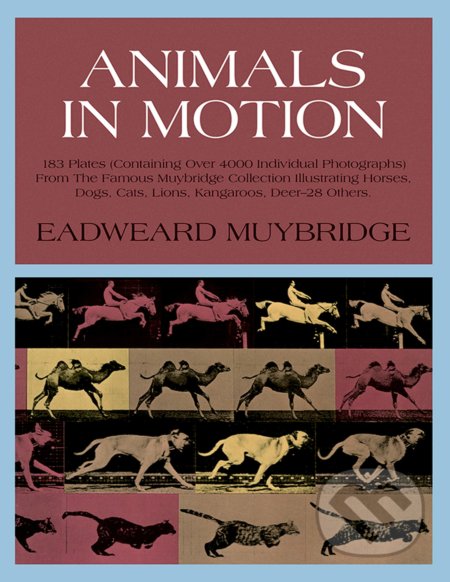 Animals in Motion