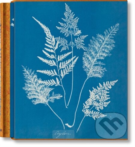 Anna Atkins. Cyanotypes