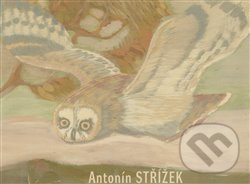 Antonín Střížek
