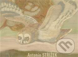 Antonín Střížek