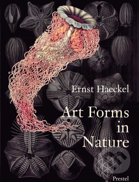 Art Forms in Nature (The Prints of Ernst Haeckel)