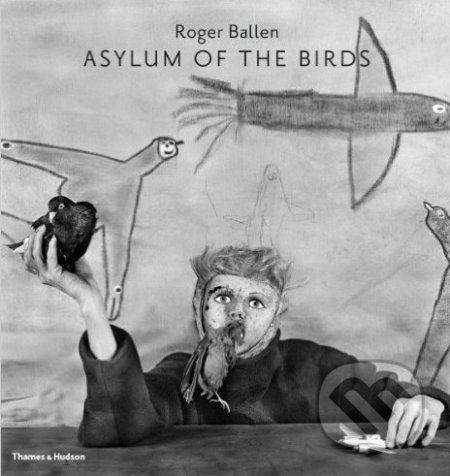 Asylum of the Birds