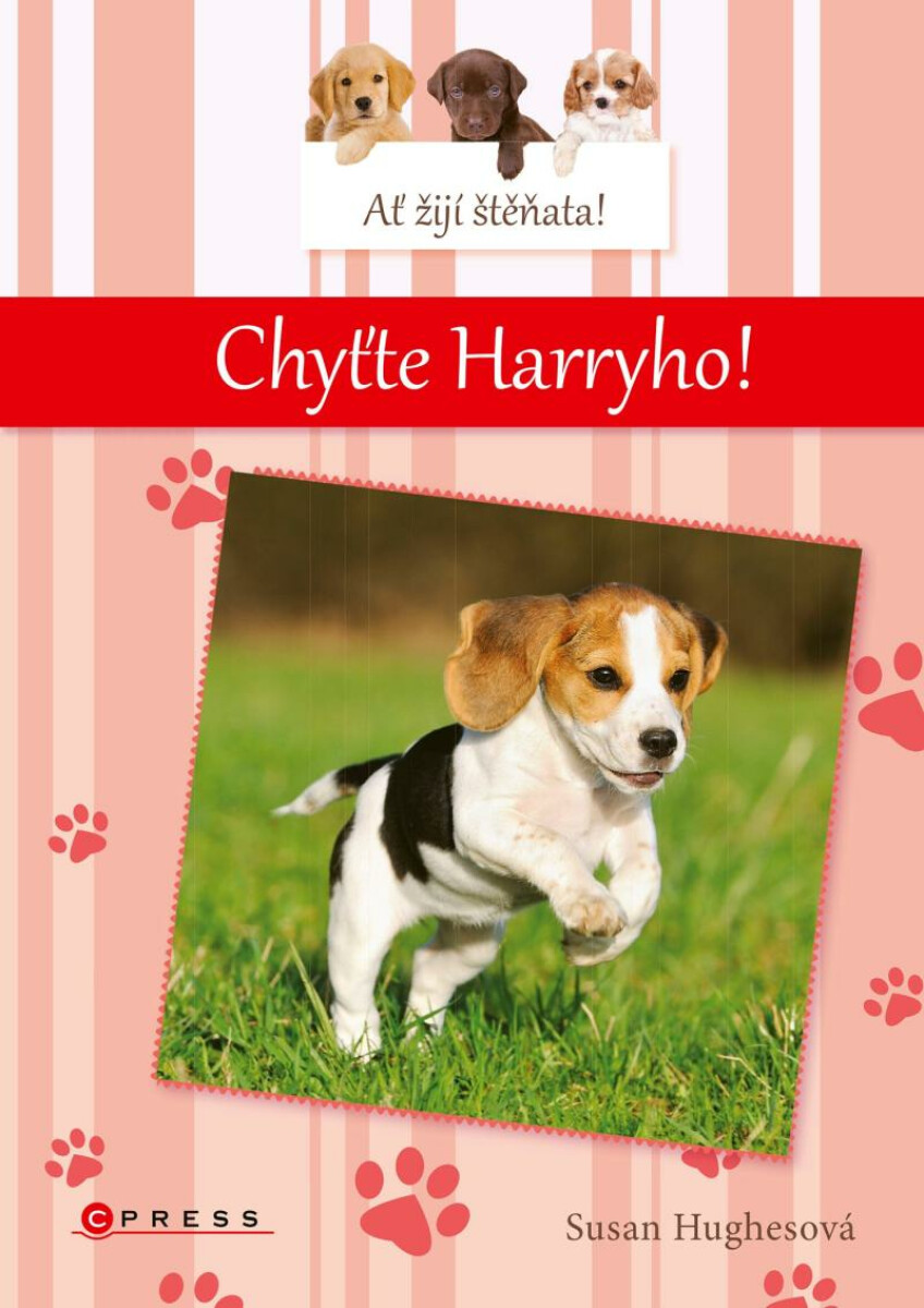 Ať žijí štěňata: Chyťte Harryho! - Susan Hughesová